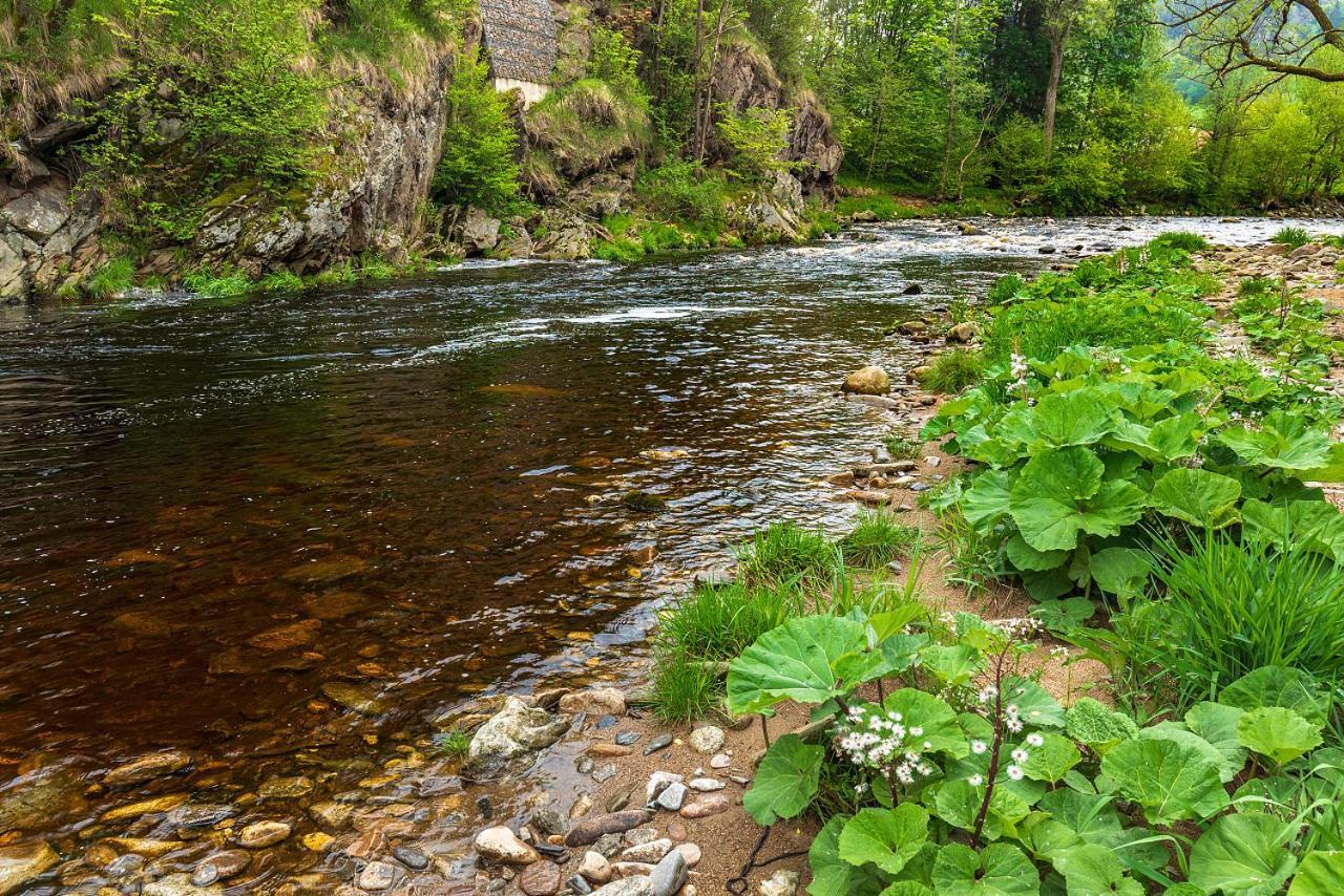 Penzion Rejstejn Exteriör bild