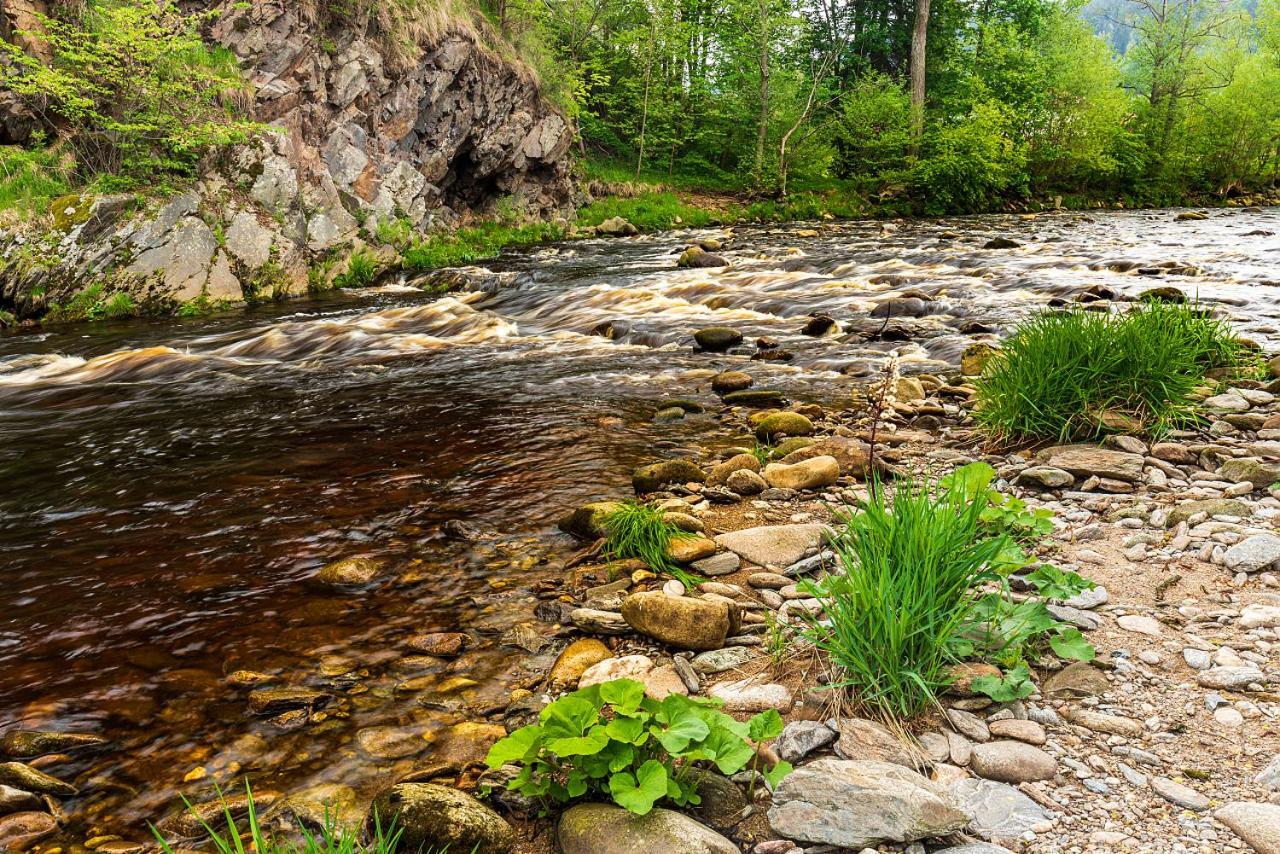 Penzion Rejstejn Exteriör bild