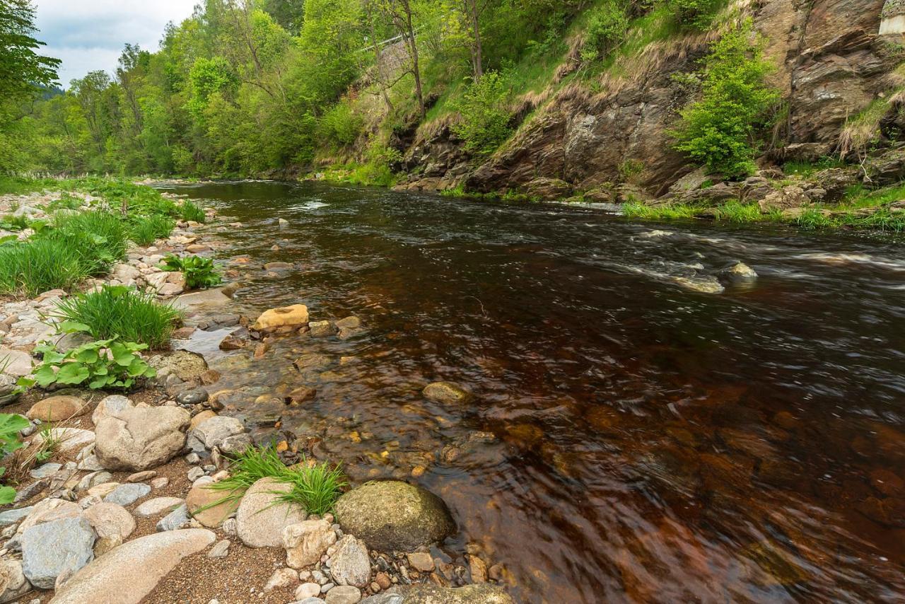 Penzion Rejstejn Exteriör bild